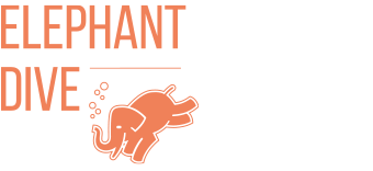 elephant-dive.de